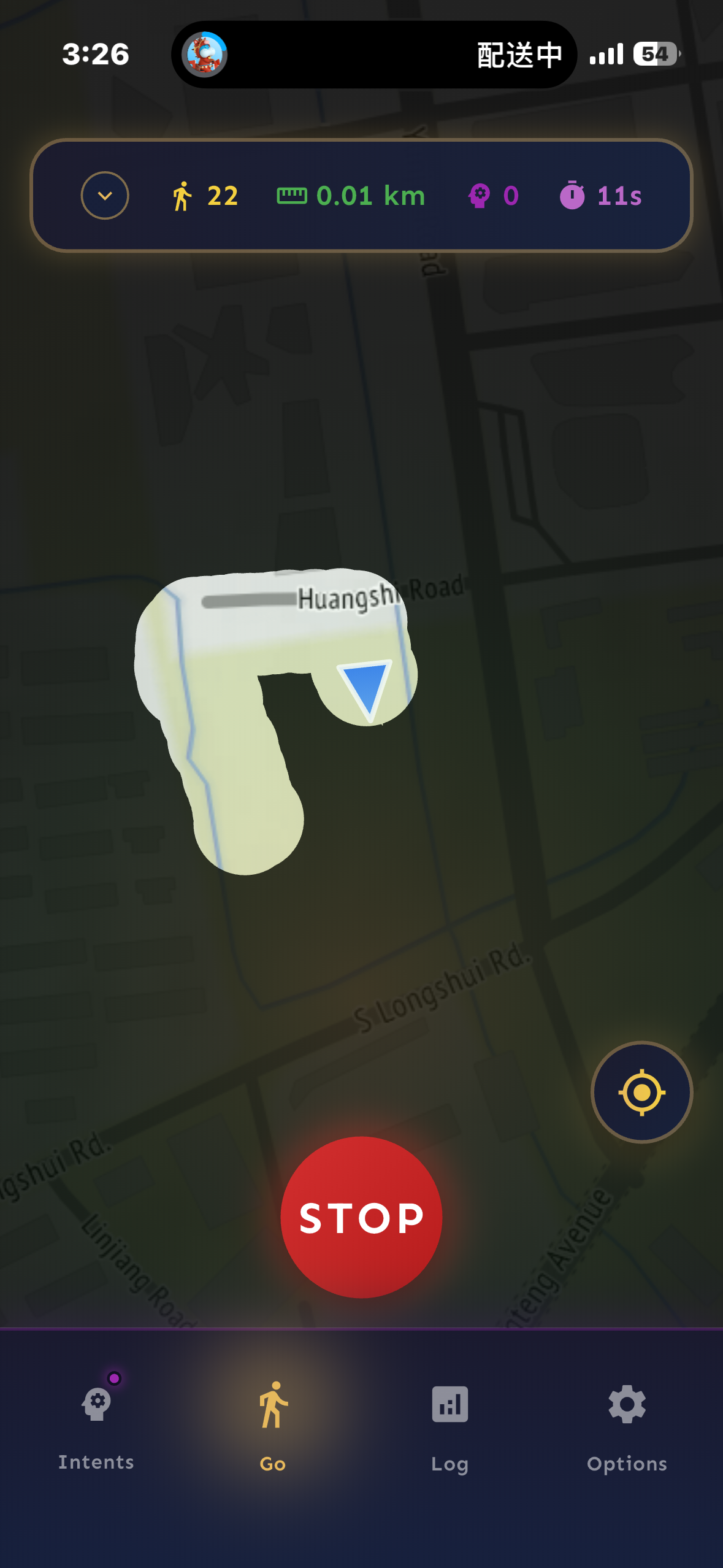 Mindstrider Live Walk